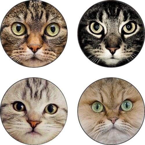 5pcs16mm20mm25mm black cat for pet lovers Cat with two ears Handmade Photo Glass Drop Style Cabochons Jewelry Accessories