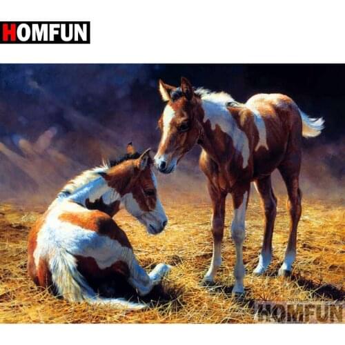 HOMFUN Full Square/Round Drill 5D DIY Diamond Painting "Horse scenery" Cross Stitch 5D Home Decor A01236