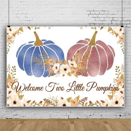 Welcome Newborn Twins Background Portrait Photography Surprise Party Decors Photographic Backdrops Photocall Studio Props