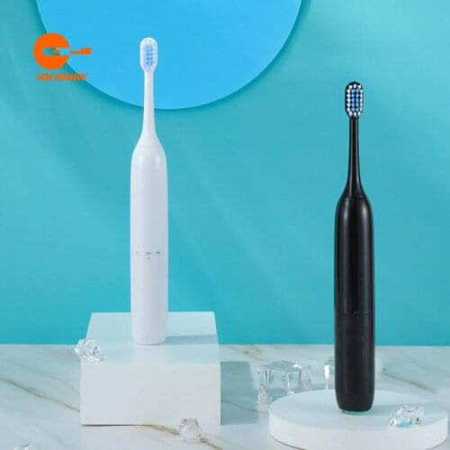 Portable Electric Sonic Tooth Brush Waterproof Adult Battery Toothbrush