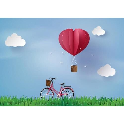 Valentines Day suburban bicycle heart-shaped balloon girl photo proposal scene photo background photography background