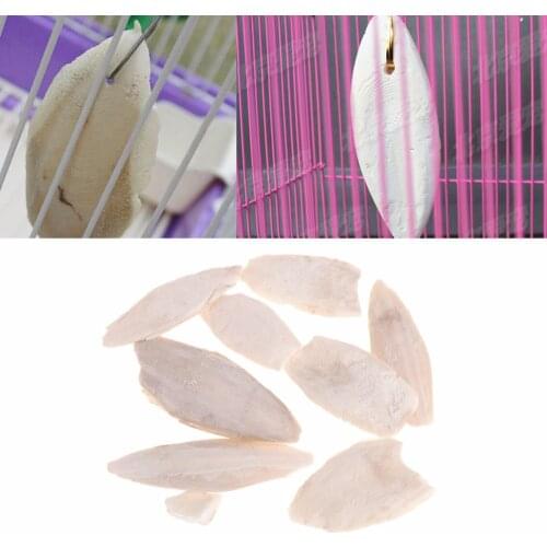 1 Bag Cuttlebone Cuttlefish Sepia Bone Cuttle Fish Bird Food Calcium For Reptiles Bird Pet Food Supplies New Arrivals C42
