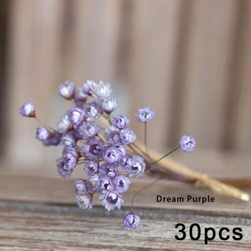30pcs Dried Flower Brazilian Little Star Flower Gypsophila Chrysanthemum Art Decor DIY STTA889