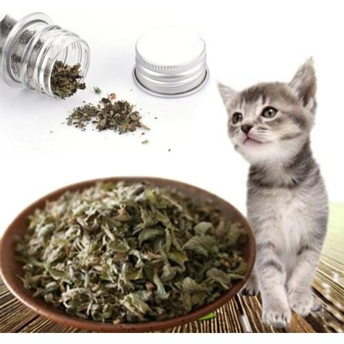 1 Piece Natural Organic Premium Catnip Cat-Go-Crazy Menthol Flavor Catmint Pet Cat Treat Funny Toy Supplies for Cats Kittens Hot
