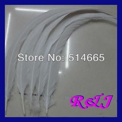 Free Shipping cock feather tail 30-35cm 12-14 inches White cock tail feather chicken feather Dyeing Loose Rooster Tail Feathers