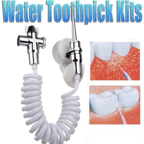12 Pcs Spa Water Jet Flosser Oral Irrigator Teeth Toothbrush Pick Cleaner