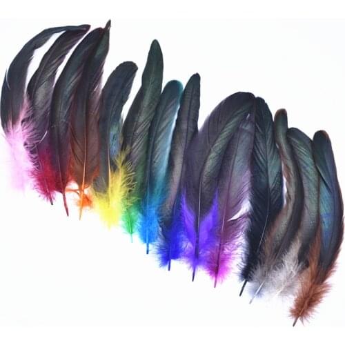 50Pcs/Lot Colorful Rooster Feathers for Crafts Holiday Black Chicken Decoration for Needlework and Handicrafts Pheasant Plumes