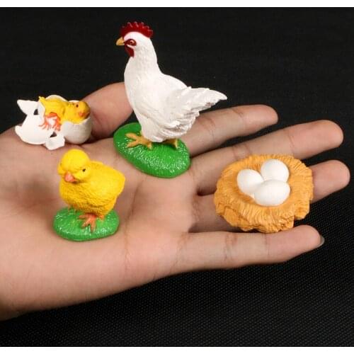 Simulation Animals Growth Cycle the Life Cycle of a Chicken Model Action Figures Figurine Educational Kids Toys