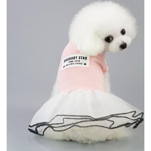 Brand 2019 New dog skirt clothes spring summer cute cat cotton pet lace princess dress clothes coat Hot Sale