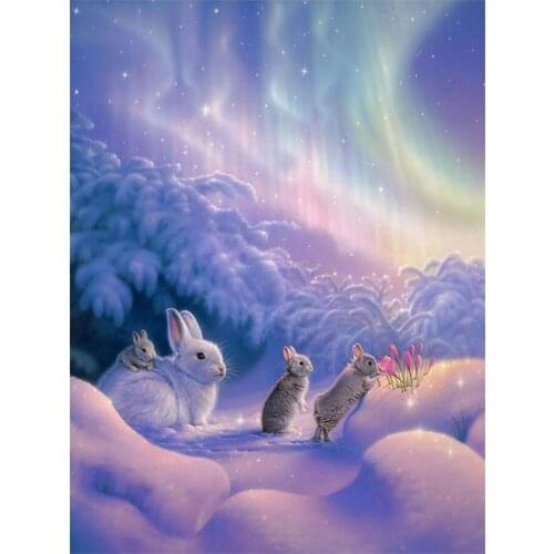 Aurora Snow Rabbit Diamond Painting Animal Round Full Drill Nouveaute DIY Mosaic Embroidery 5D Cross Stitch Home Decor Gifts