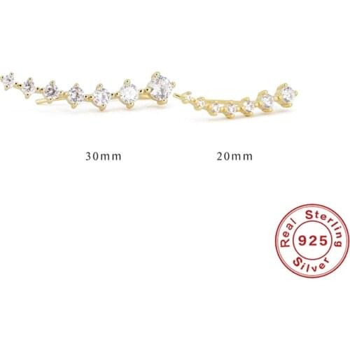 Canner 925 Sterling Silver Earrings For Women Single Fow Flash Luxury Zircon Stud Earrings 2021 Fashion Jewelry 20/30mm kolczyki