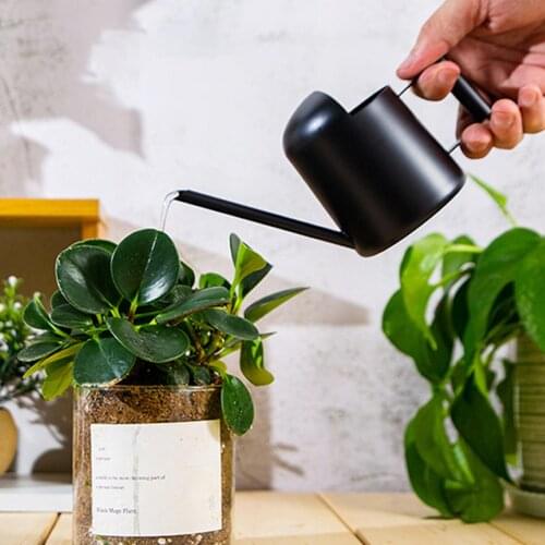 Home 500ml Stainless Steel Long Spout Water Jug Plant Flower Watering Can Pot Watering Device Bonsai Plants Water Cans