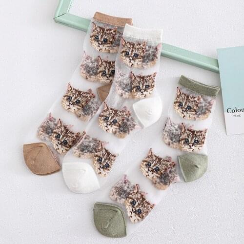 Women Socks New Funny Cute Cartoon Animal Jacquard Transparent Cat Socks Novelty Kawaii Happy Crystal Silk Ultra-thin Art Socks