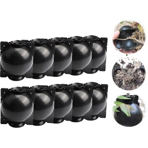 Garden Tools 10pcs Plant Rooting Ball Grafting Growing Nursery Box Breeding Plant Root Container High Pressure Case