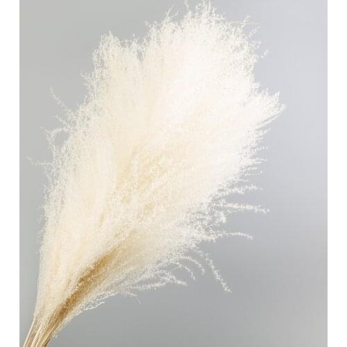 10pcs/lot artificial reed dried flower bouquet wedding home decoration ins favourite party decorations dried fake grass flowers