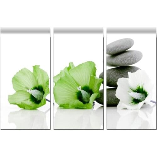 3 Pieces Modern Green White Grey Zen Flowers Floral Canvas Paintings Canvas Art Wall Pictures For Living Room decorative picture