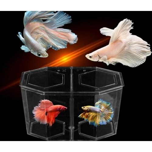 Acrylic Guppy Fish Tank Two Splits Aquarium Betta Fish Bowl Transparent Aquarium Hatchery Breeding Isolation Box High Quality