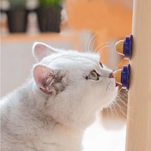 1pcs Catnip Solid Sugar Snacks Candy Licking Nutrition Sugar Ball Cat Treats Energy Ball Natural Catnip Cats Lovely Snacks