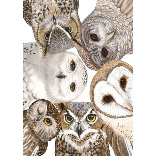 5D Diy Diamond Painting Cross Stitch Owls Animal Embroidery Mosaic Full Square Round Drill Rhinestone Home Decor Needlework Gift