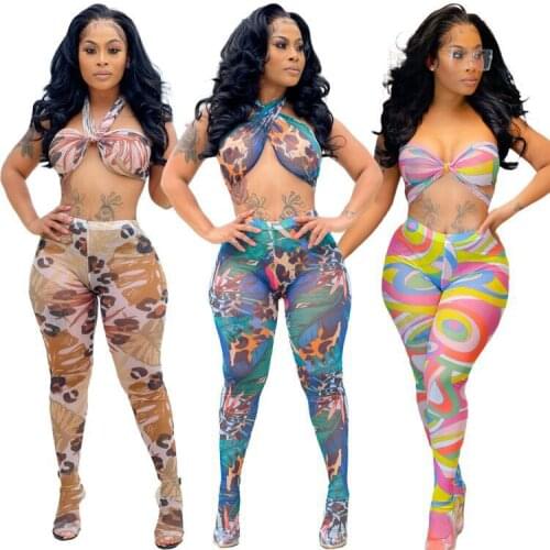 Echoine Summer Sexy Print Mesh Sheer Two Piece Set Backless Crop Top and Pantyhose Outfits Women Night Club Party Matching Sets