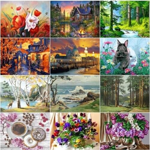 CHENISTORY DIY Oil Painting By Numbers Landscape 40x50cm Kits Canvas Handpainted Figure Gift Pictures Flowers Animal Home Decor