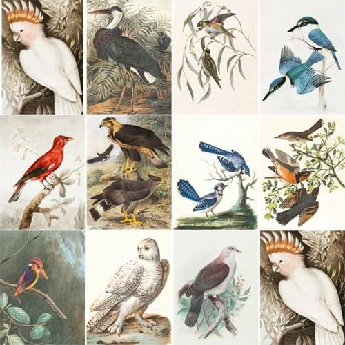DIY Handmade Beautiful Painting With Diamonds Full Drills Bird Embroidery Cross Stitch Kit Craft Artwork Home Decoration