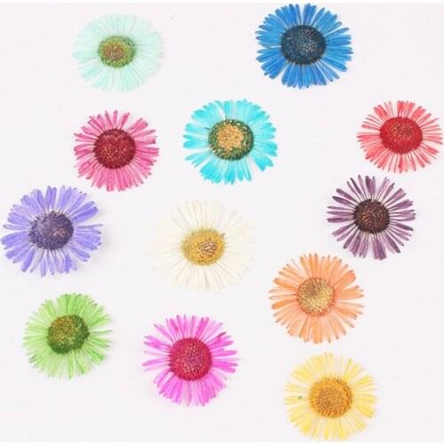 24pcs/1-2cm,Nature Pressed Chrysanthemum Flowers Nail Art Decoration DIY Flora Gel Manicure Stickers Party Craft Bookmark Gift