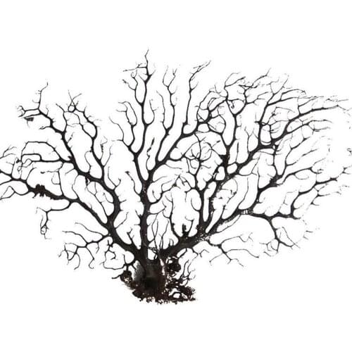 The 35cm Jumbo Black Sea Fan Fish Tank Aquarium Decoration, Sea Coral Ornament