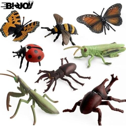 Insect Model Simulation Action Figure Educational Bee Beetle Butterfly Grasshopper Animal Toy PVC for Child Kids Gift