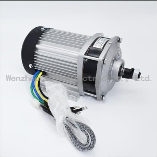 Large scale assembly line Brushless DC Holzer motor BM1412ZXF1200W48/60/72V