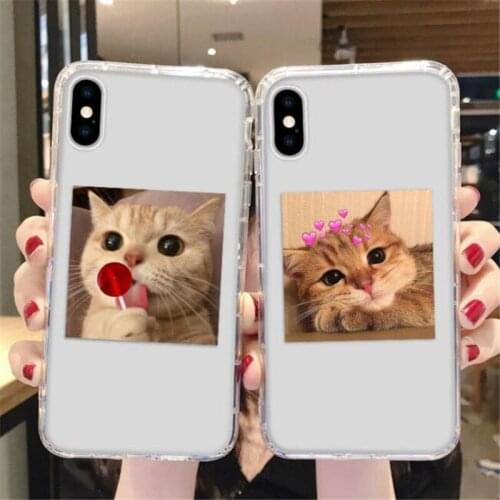 Lovely Cat Silicone Mobile Phone Case For Apple iPhone 11 12 Pro Max mini Se 7 8 6 6S Plus XR X XS MAX SE Shockproof Case Cover