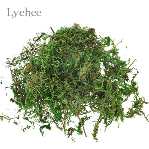 Lychee Life 10g Artificial Keep Dry Green Moss Simulated Green Plant Garden Flower Pot Decoration