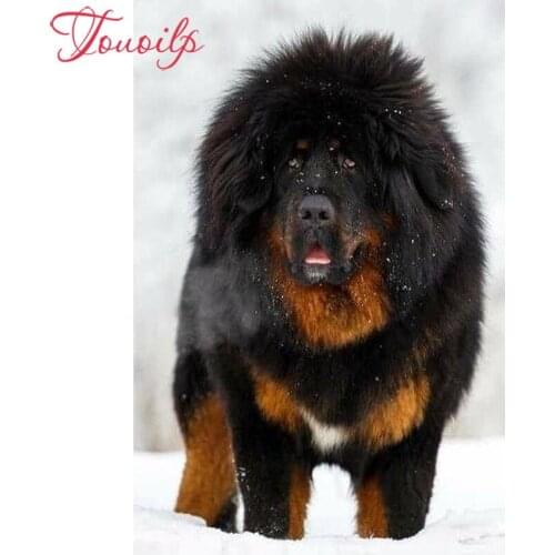 TOUOILP 5d diy diamond embroidery,5d Chow Chow diamond Painting cross stitch,diamond mosaic,wall sticker,childrens room decor