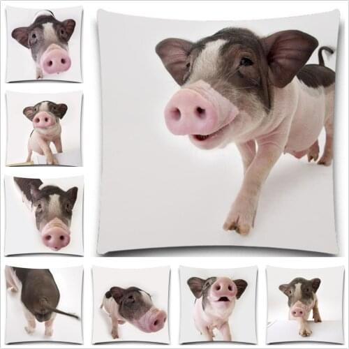 Pigs under the lens 2D print creative Pillow case Square cotton polyester cushion cover 5 size 9 style