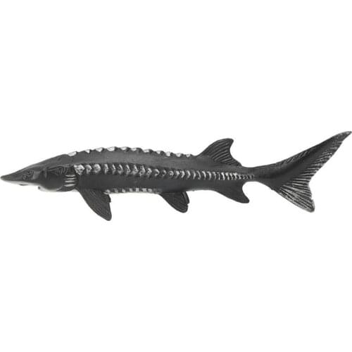 Simulation Chinese Sturgeon Model Fake Sturgeon Fish Model Home Decoration Ornaments Kids Toy Fish Model for Kids