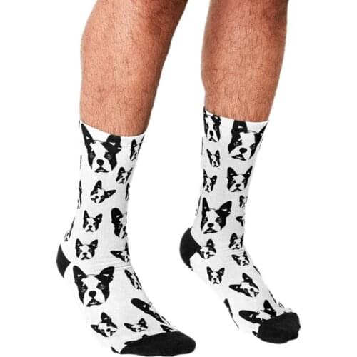 2021 Funny Mens socks Boston TERRIER DOG LOVER Printed hip hop Men Happy Socks cute boys street style Crazy Socks for men