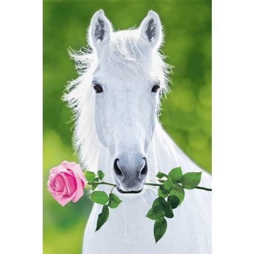 Custom Canvas Art White Horse Poster Horse Wallpaper Animals Wall Stickers Christmas Stallion Mural Bedroom Decoration #2600