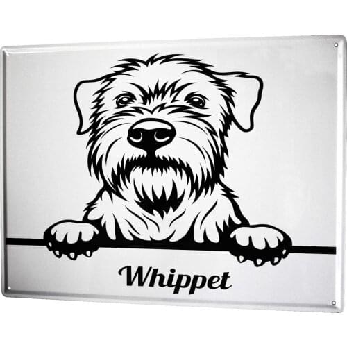 SINCE 2004 Tin Plate Animal shelter Dog Whippet
