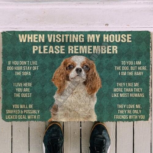 3D Please Remember Cavalier King Charles Spaniel Dogs House Doormat Indoor Doormat Non Slip Door Floor Mats Decor Porch Doormat