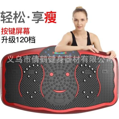 Vibration Fitness Massager Power Plate Shook Standing Home Fitness Equipment Vibrating Plate Exercise Machine