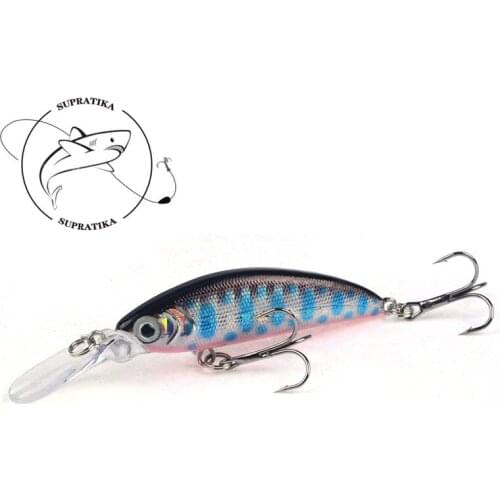3D Eyes Anti-corrosion Plastic Fishing Bait Minnow Bionic Sinking Wobblers 5.8G/10CM High Quality Fishing Lure Hard Bait