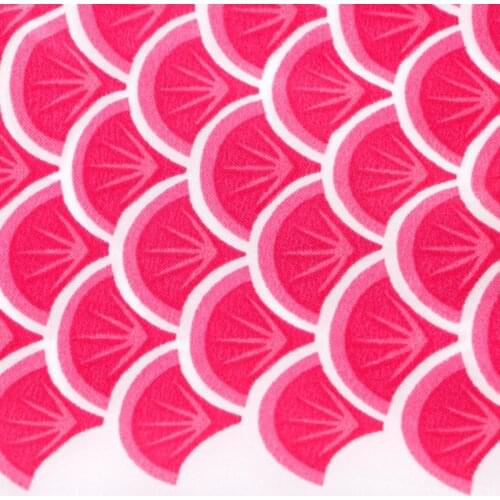 55cm Koi Nobori Carp Wind Socks Koinobori Colorful Fish Flag Hanging Wall Decor