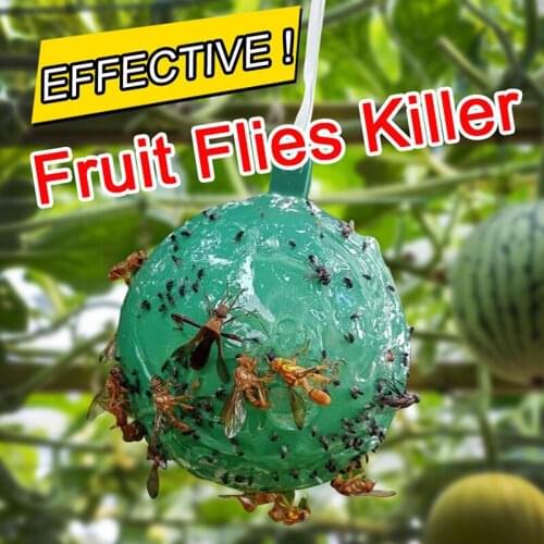 Hanging Fly Trap Ball Fruit Fly Catcher Sticky Trap Fly Outdoor Disposable Wasp Bee Insect Trap Pest Control