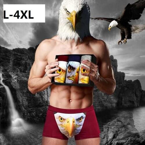 Visual Storm Men's Briefs With Print