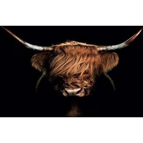 Highland Cow diy Diamond Painting 5D diamond mosaic full square drill diamond embroidery cross stitch animal picture home decor