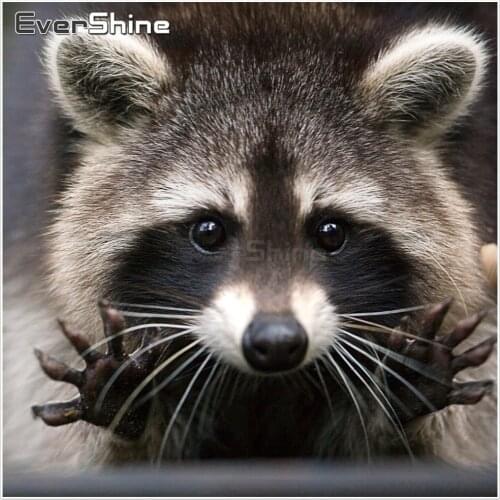 EverShine Diamond Mosaic Raccoon Full Square Diamond Painting Cross Stitch Diamond Embroidery Animals Picture Of Rhinestones