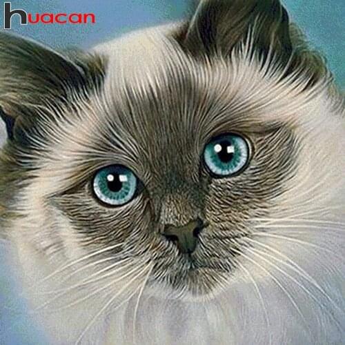 Huacan square/round diamond painting full cat home decor mosaic embroidery animal Cross Stitch wall stickers