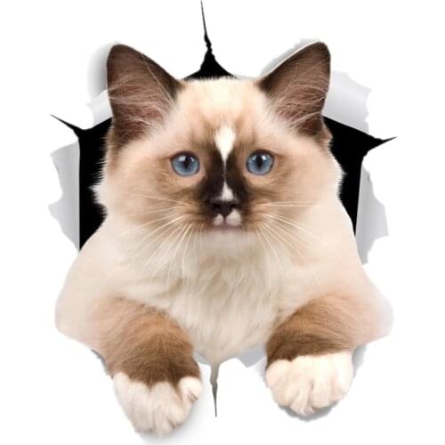 S41029# Various Sizes Funny Self-Adhesive Decal Brown Ragdoll Cat Car Sticker Waterproof Auto Decors on Bumper Rear Window
