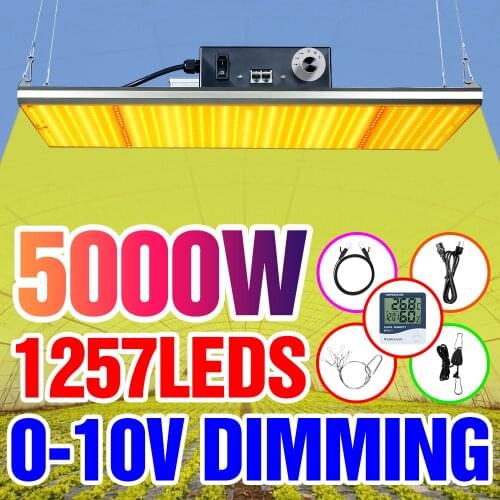 WENNI LED Plant Lamps