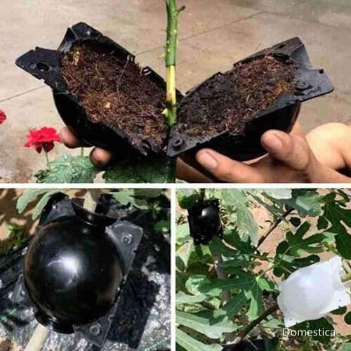 5PCS Plant Rooting Ball 50/80/120MM Grafting Rooting Growing Box Breeding Case For Garden Plant High-Pressure Propagation Box